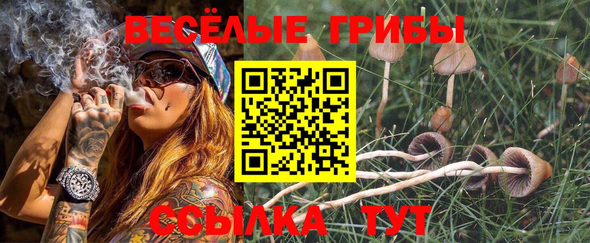 Псилоцибиновые грибы мицелий  Вход с VPN  наркота  Ейск 