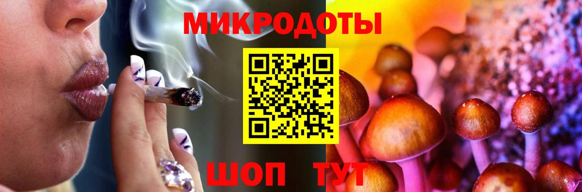 Псилоцибиновые грибы Psilocybe Ейск